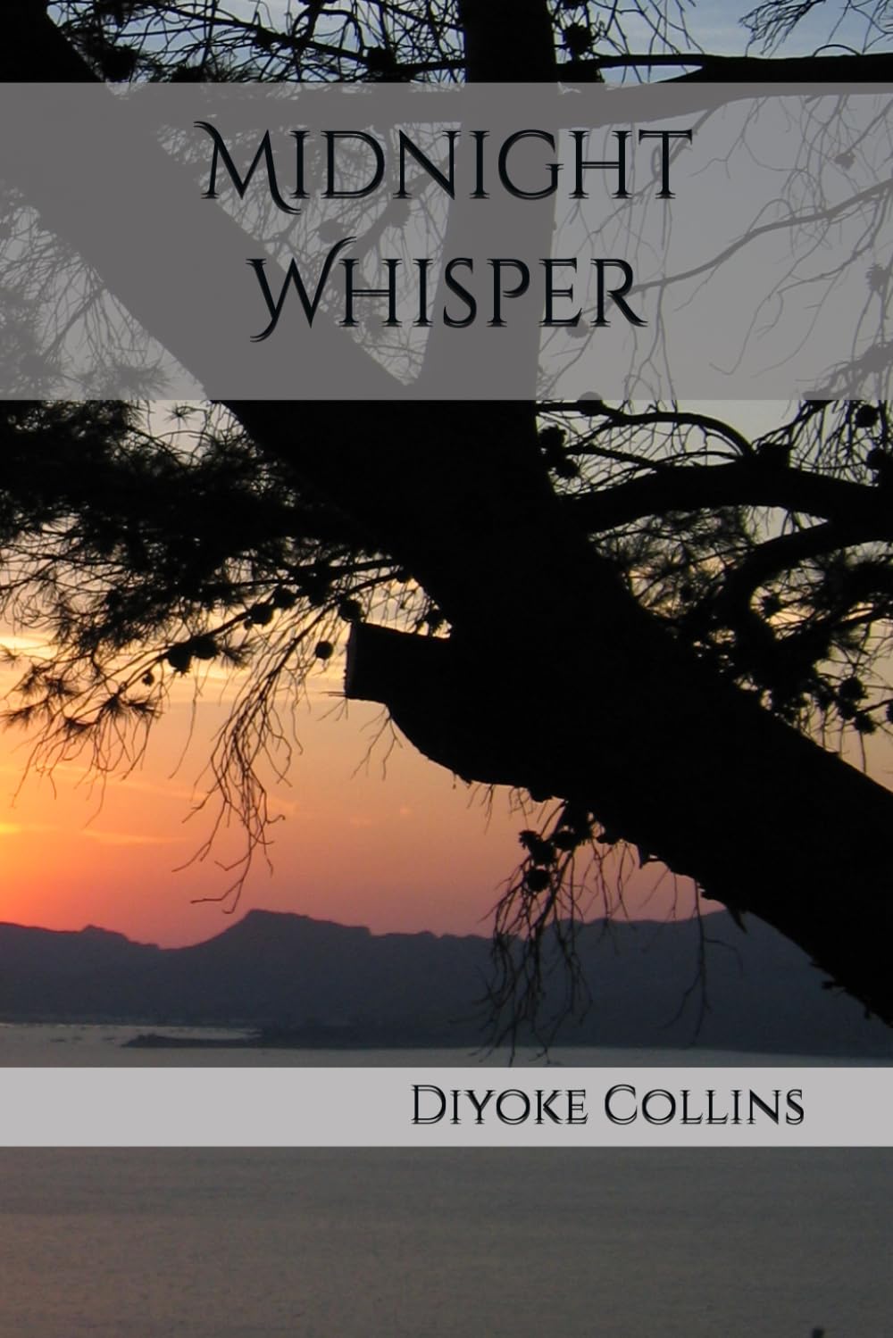 Midnight Whisper