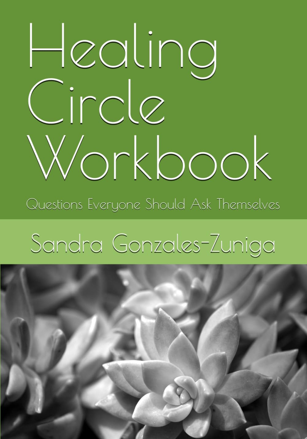 Healing Circle Workbook: Questions Everyone Should Ask Themselves