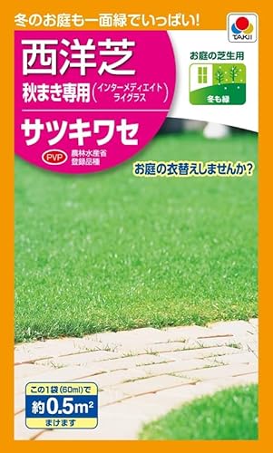 ^LCc C^[fBGCgCOX TcLZ(0.5u)