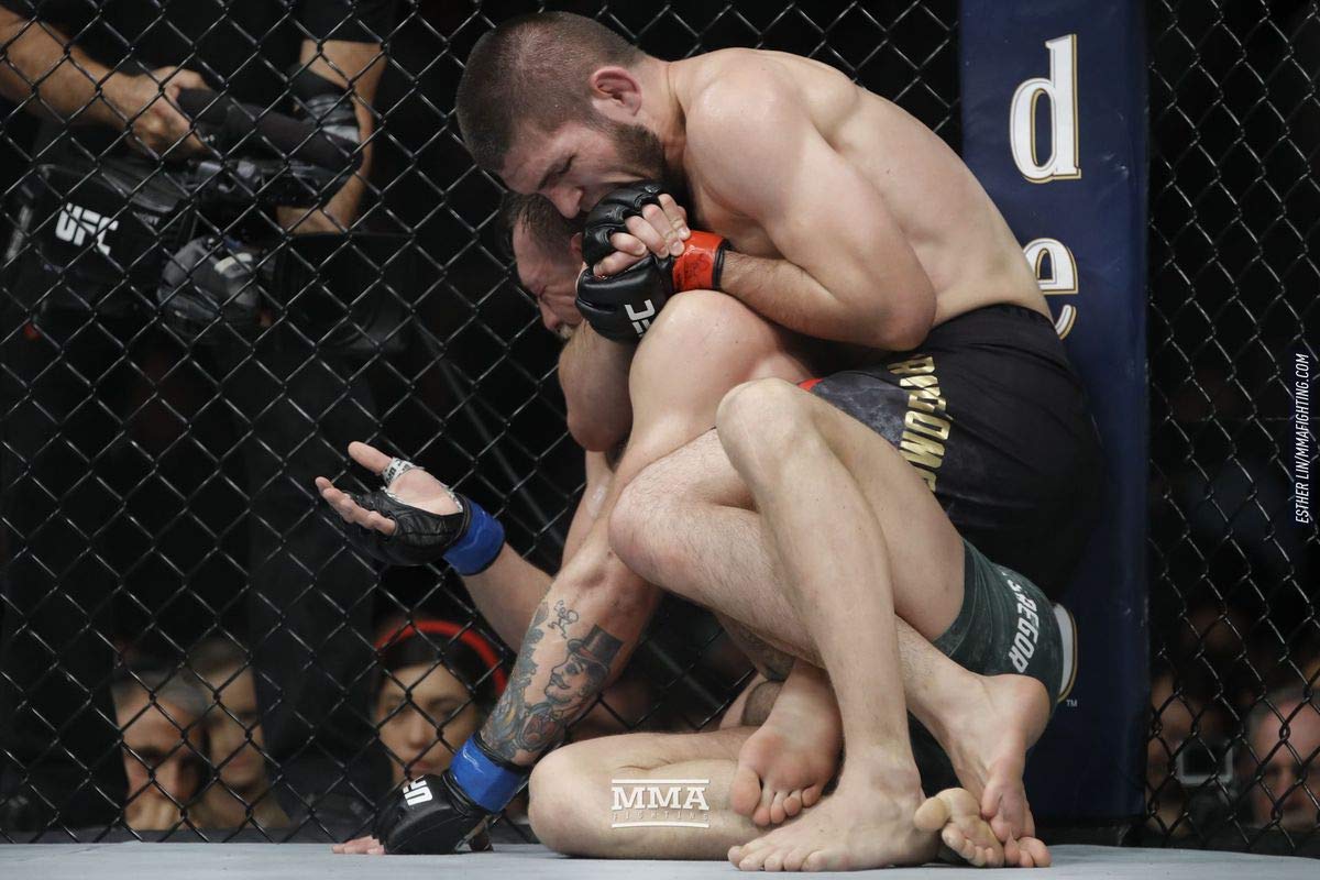 Khabib Nurmagomedov Poster Print Mma Fighter Canvas Art Real