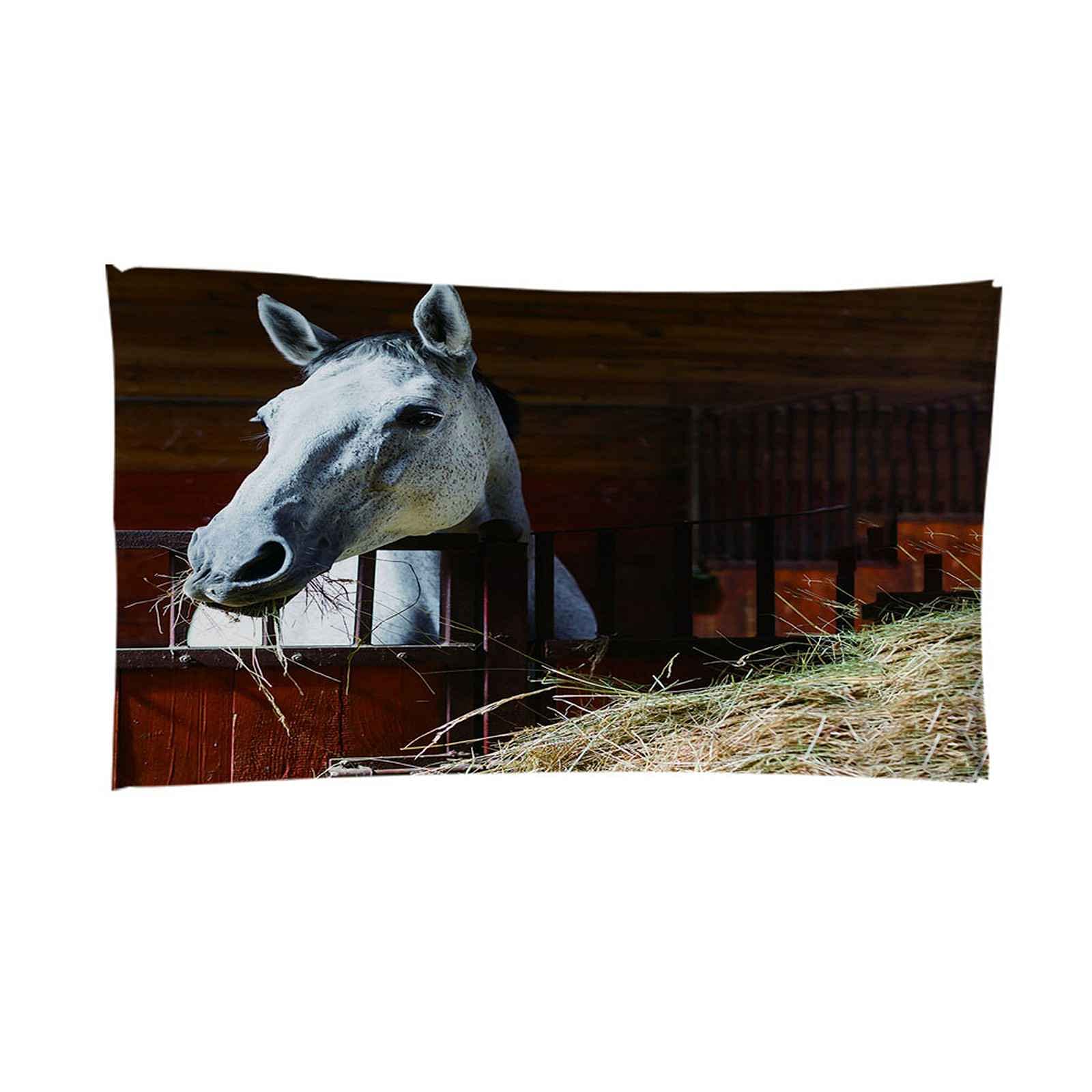 JSHEN Serviettes De Plage 100x200cm Cheval D'Écurie 3D Serviettes De Bain Microfibre Anti Sable Grande Taille Garçon Fille Enfant Drap De Plage Pour