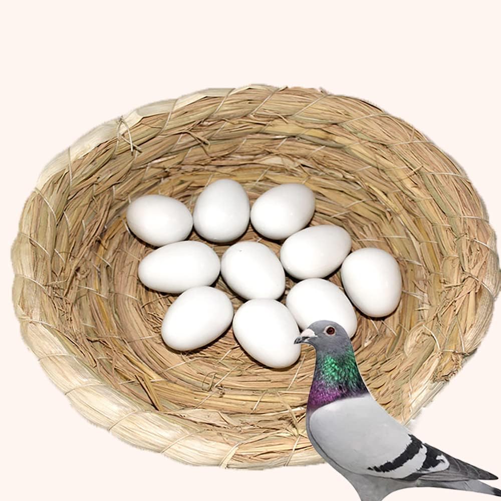 10 Pieces of Plastic Solid Pigeon Fake Eggs, Dove Fake Eggs, Soothe The Emotions of Pigeons