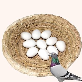 OTEHOO 10 Pieces of Plastic Solid Pigeon Fake Eggs, Dove Fake Eggs, Soothe The Emotions of Pigeons
