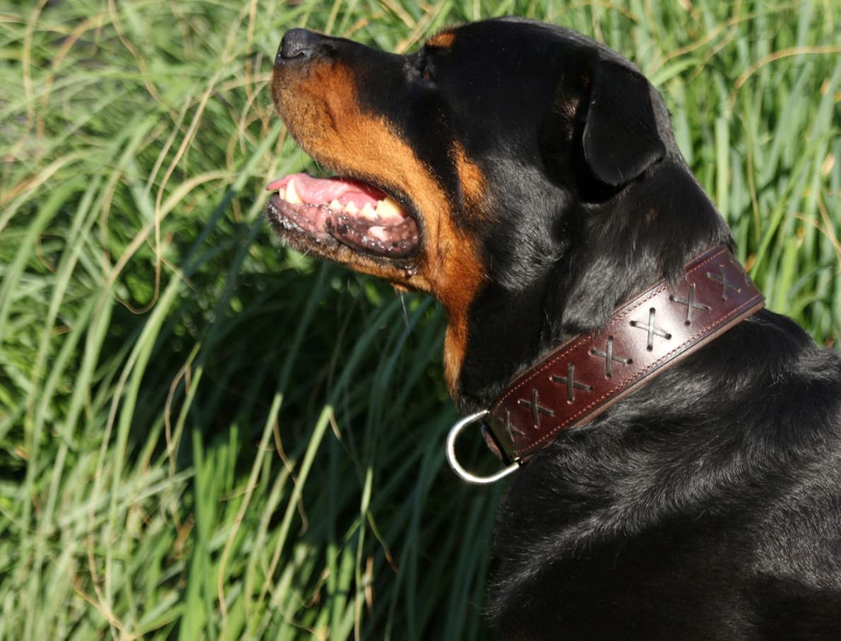 Tysons EXTRA BREITES Lederhalsband Für Hunde – 3,5 Cm Breit, Größe M (40-45 Cm), Braun Mit Schwarzem Zierstich