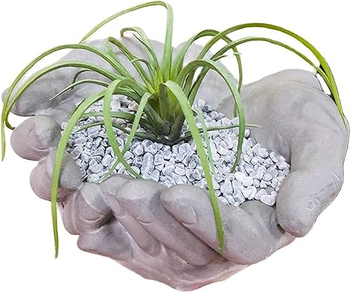 Molde de silicona de cemento en forma de maceta en forma de mano, molde de maceta suculenta de arcilla de hormigón, molde de almacenamiento de