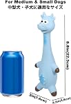 Squeaky Dog Toys, [2 Pack] Squawking Latex Toy with Interactive Squeaker, Squeak Rubber Duck Chicken for Medium Small Dogs