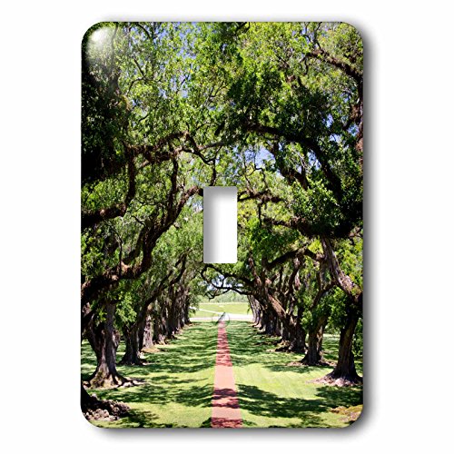 Interruptor único lsp_190343_1 con diseño de robles de Oak Alley Plantation Louisiana 2
