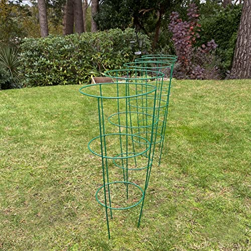 Selections Pack of 5 (60cm) Conical Garden Plant Support Rings - 3