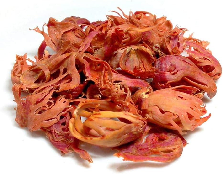 50g - Pure Organic Whole Mace Aril Javintri Fragnant Herb and Spices Cooking Baking