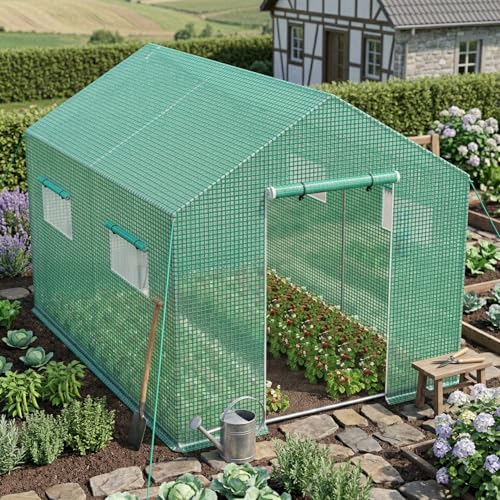 Froadp Gewächshaus Begehbar 3x2x2m Foliengewächshaus Garten mit Verzinktem Stahlrahmen UV-beständige PE Folie Tomatenhaus mit Fenstern & Tür Pflanzengewächshaus für Gemüse Tomaten & Blumen