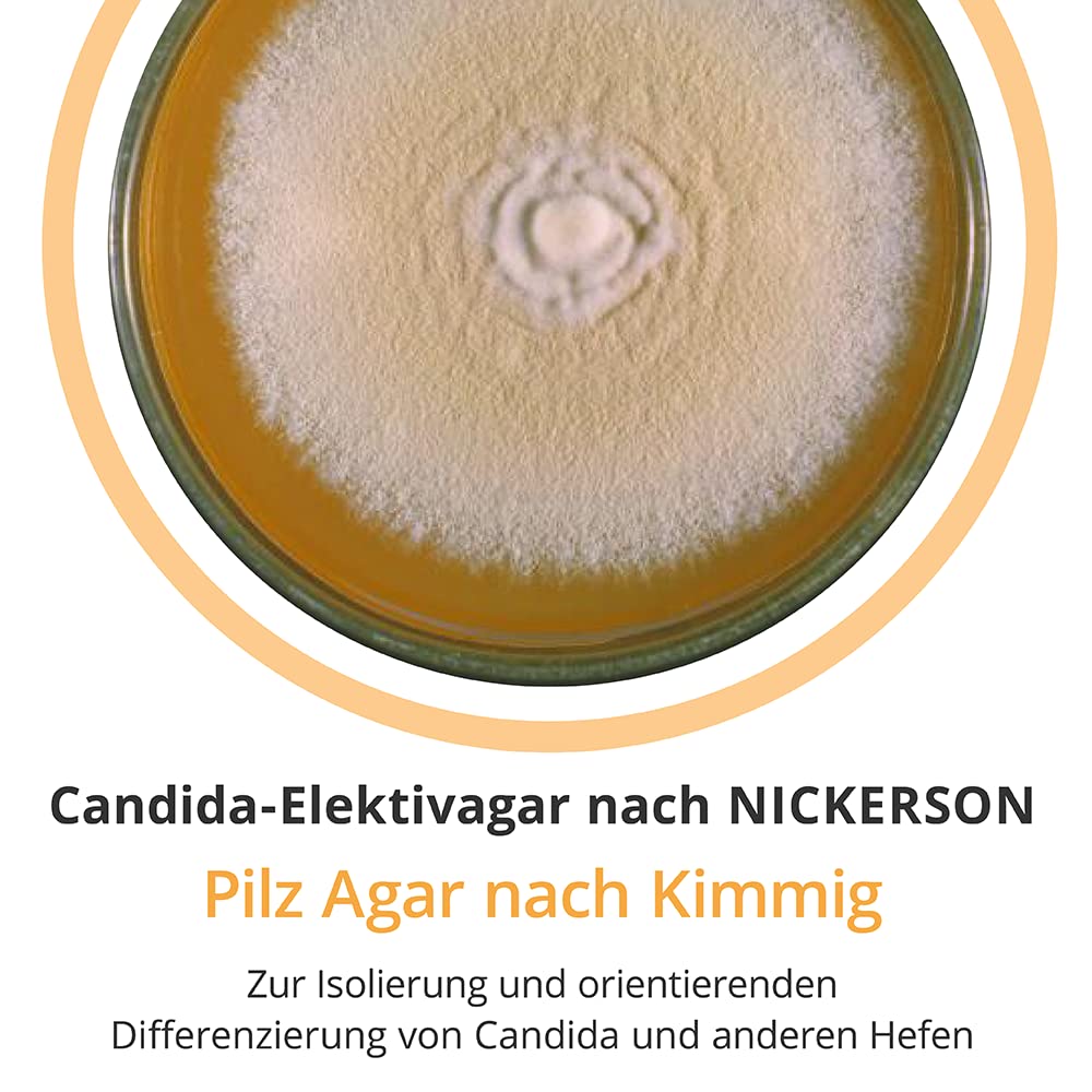 C3 10421 Lot de 20 terres nutritives champignons agar après Kimmig