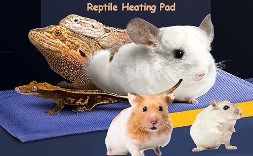 Small Reptile Heating Pad,6X3 Inch Usb Reptile Heat Pad With 3 Level Adjustable Function Usb Heating Pad Pet Dog Heating Pad Terrarium Heat Mat For Lizards,Tortoise,Pets Seedling Small Animals #TOP1
