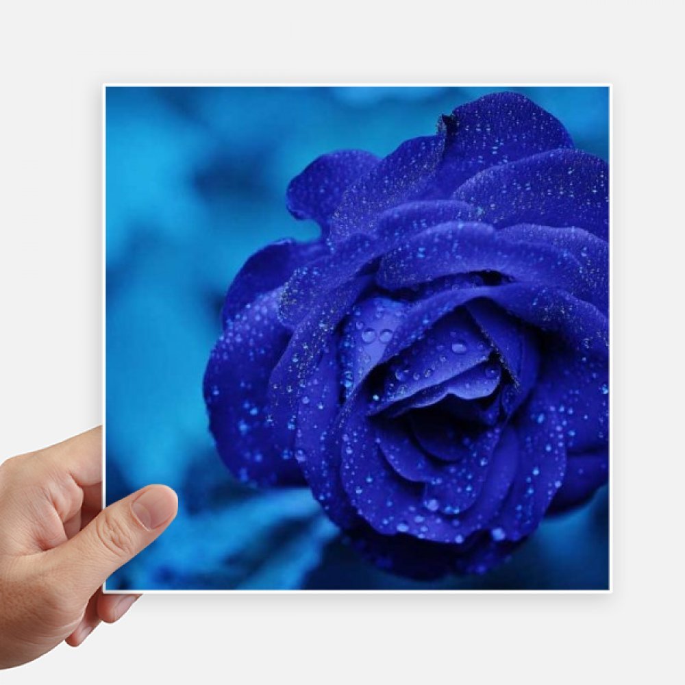 Calcomanías cuadradas de rosas adhesivas decorativas de 20cm para pared maleta y portátil