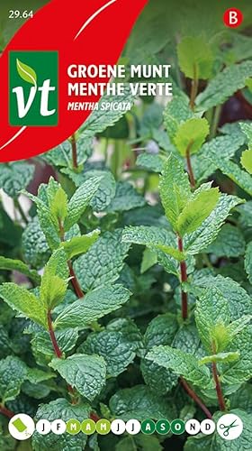 Peppermint Herb Seeds