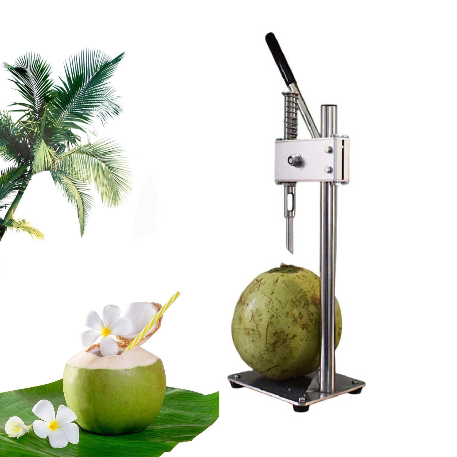 Ouvre-noix de coco efficace pour retirer la coque manuellement sans effort