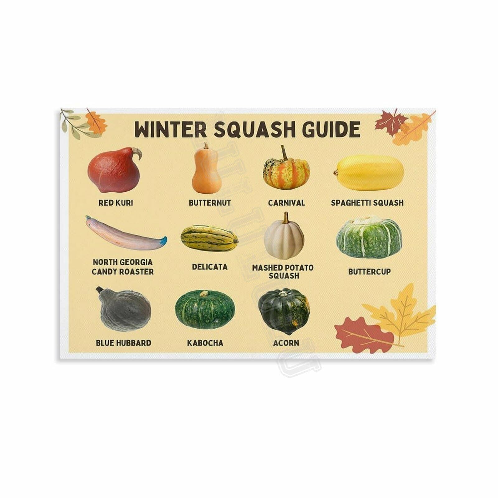 IDGTTLDF Pumpkin Squash Varieties Chart Gardening Reference Poster Canvas Wall-Art for Porch Sunroom Decor Unframed,08x12inch(20x30cm)