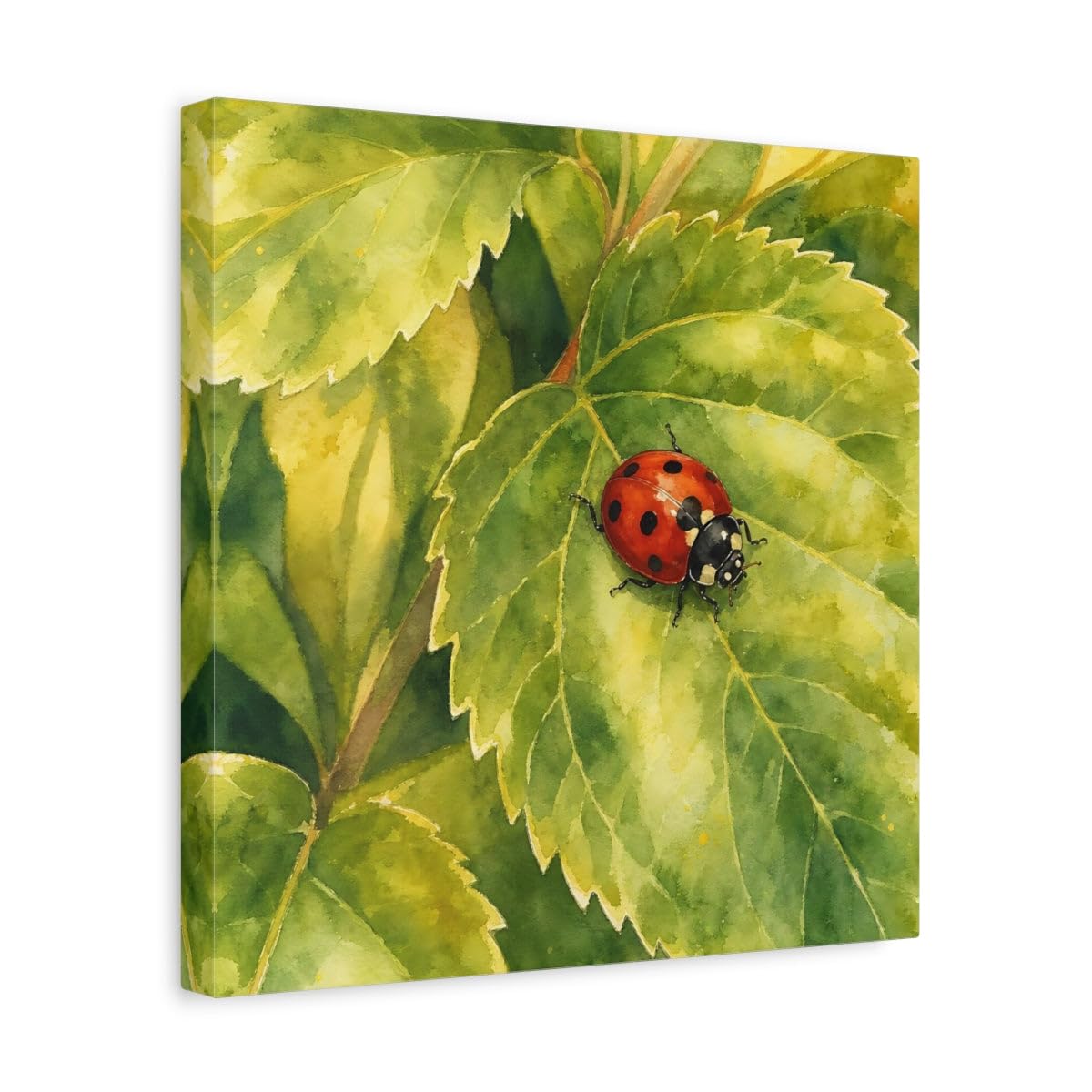 Toile aquarelle coccinelle rouge verte grand format carré 35x35 cm déco salon - 8