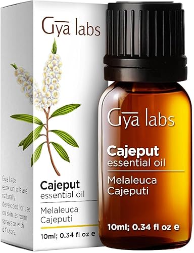 Gya Labs - Aceite esencial de cajeput para respirar, aceite natural para aire limpio y alivio del dolor, 100 % puro, de grado terapéutico, para