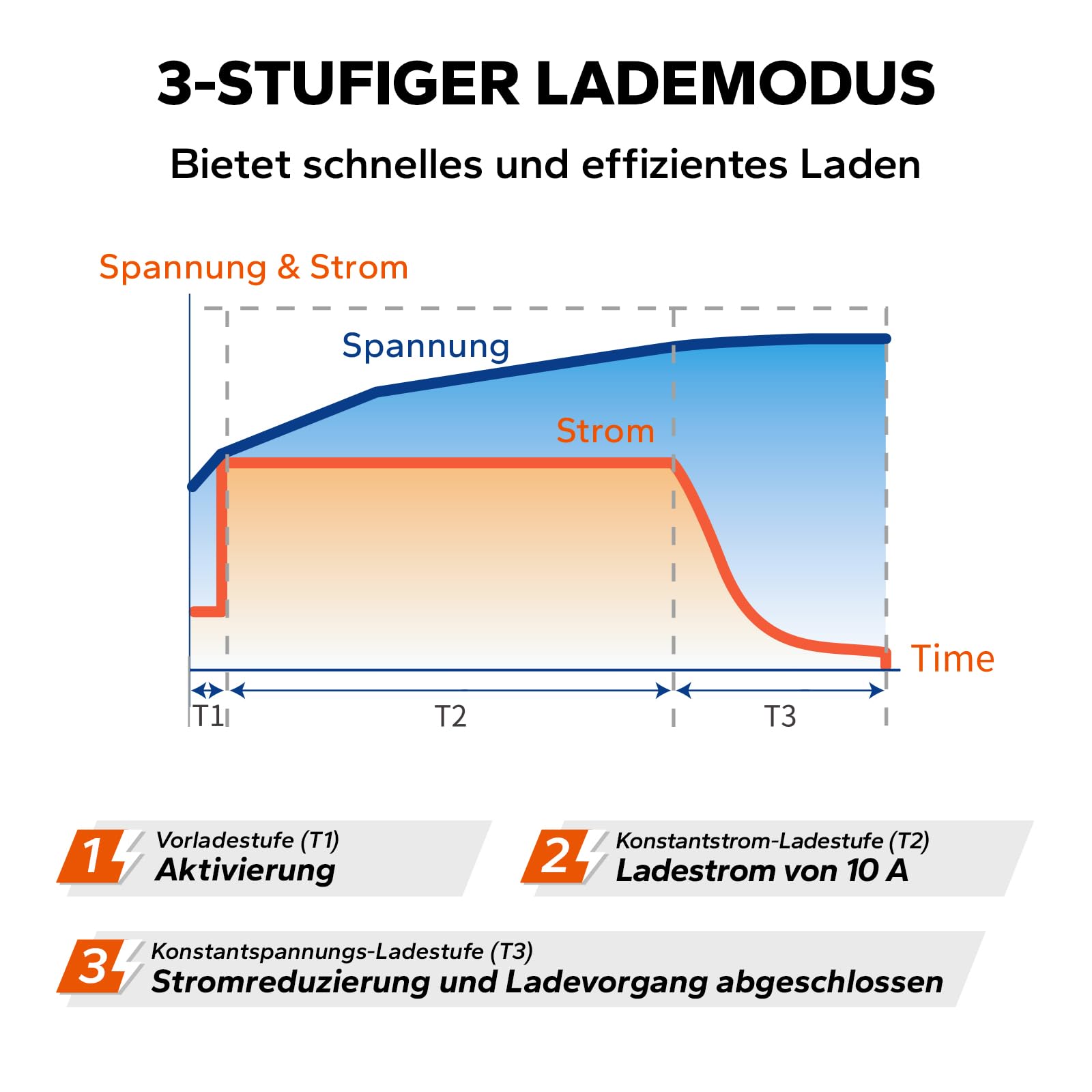 LiTime 12V 10A Batterieladegerät, 14,6V AC-DC LiFePO4 Lithium-Batterie-Ladegerät mit Anderson-Anschluss LED-Anzeige Ladegerät speziell für Deep-Cycle-Akkus für Womos, Häuser, Insel- & Solaranlagen