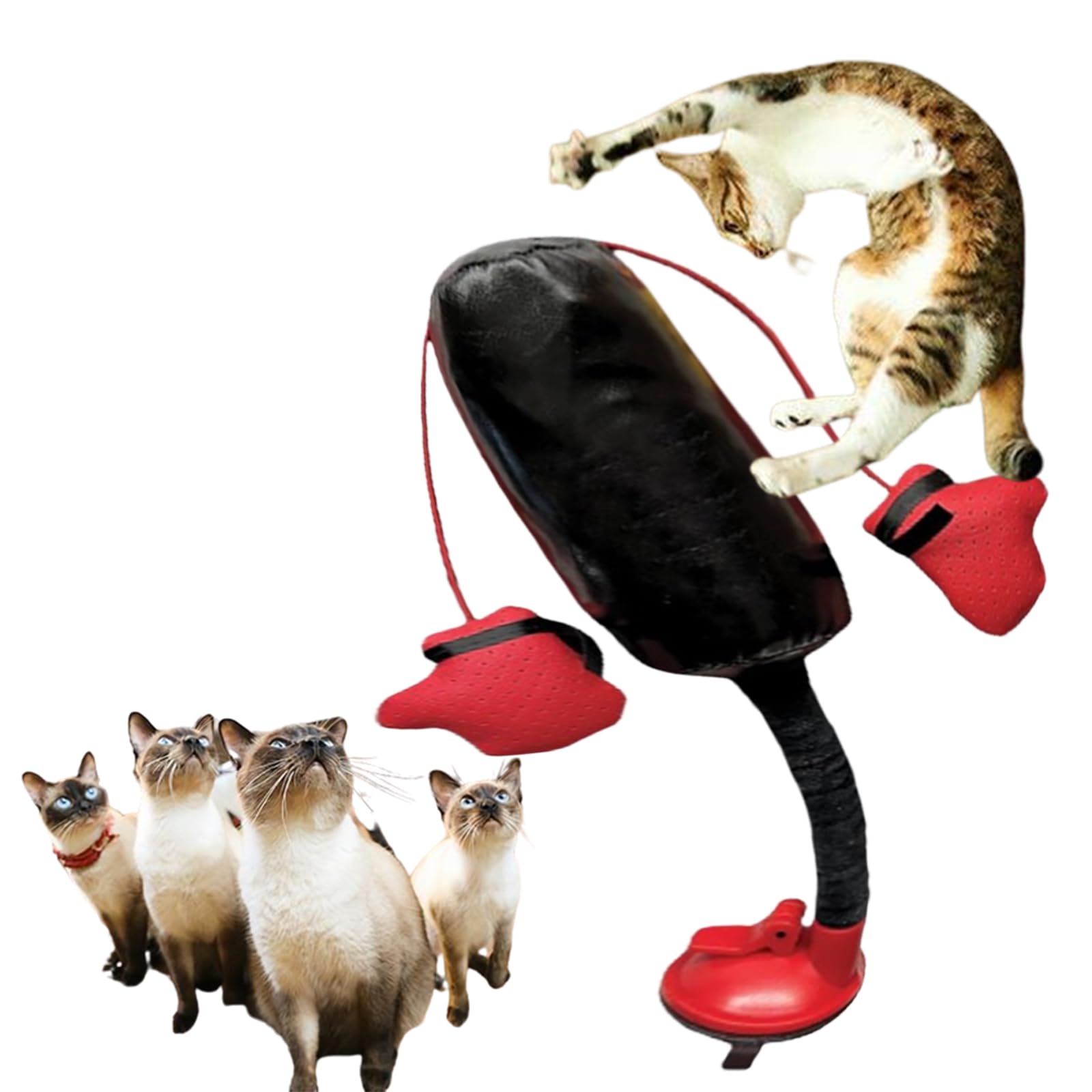 Cat Punching Bag Toy,katzen-boxsack-spielzeug,interactive Toys for Indoor Cats, Interactive Boxing Cat Toy,Kitten Exercise Toy Boxing Gloves,Punching Bag with Gloves Cat Toy,Cat Punching Bag Play Gym Ansicht 5