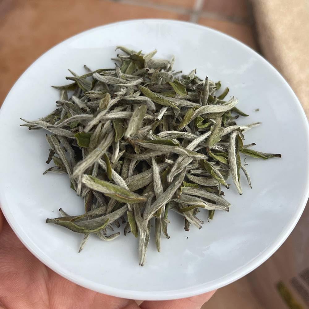 Tè Bianco Early Spring Silver Needle • Tè cinese pregiato raccolto a inizio primavera • Confezione da 250g • TEA SOUL