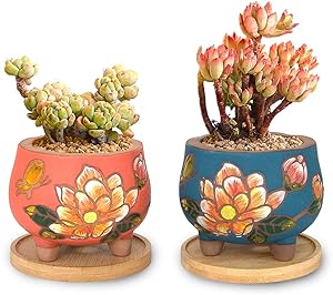 Succulent Ceramic Pots with Bamboo Tray — Set of 6