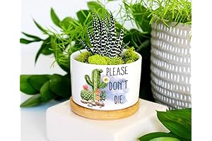 Add a Touch of Humor to Your Greenery with Please Don't Die Plant Pots