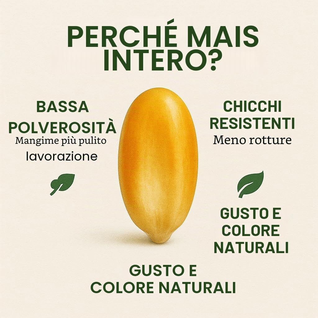 GiDeli Mais giallo intero 30 kg – Grani secchi – Mangime per galline e