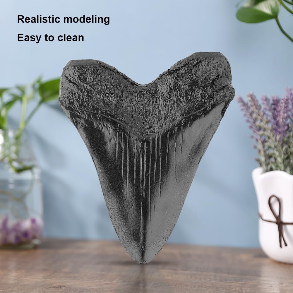 Denti di Squalo da 5 Pollici Modello Dente Megalodonte Gigante Facile da Pulire Decorazione Domestica Denti di Squalo Nero Biologia Marina Fossile Oggetti di Scena for Bambini