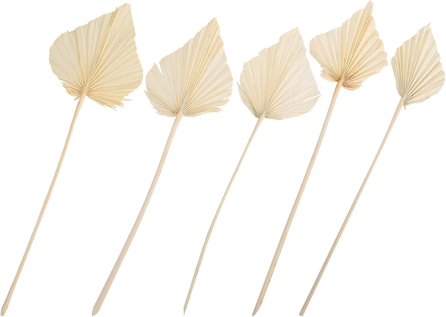 Uonlytech 5Pcs White Dried Palm Leaf Decor Heart-Shaped Fan Natural Palm Leaf Ornament for Wedding Party Floral Arrangement Home Living Room Display