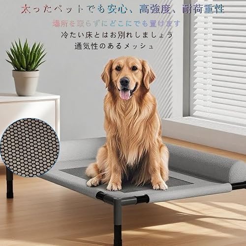 WMDY YGJ ペットコット Mサイズ
