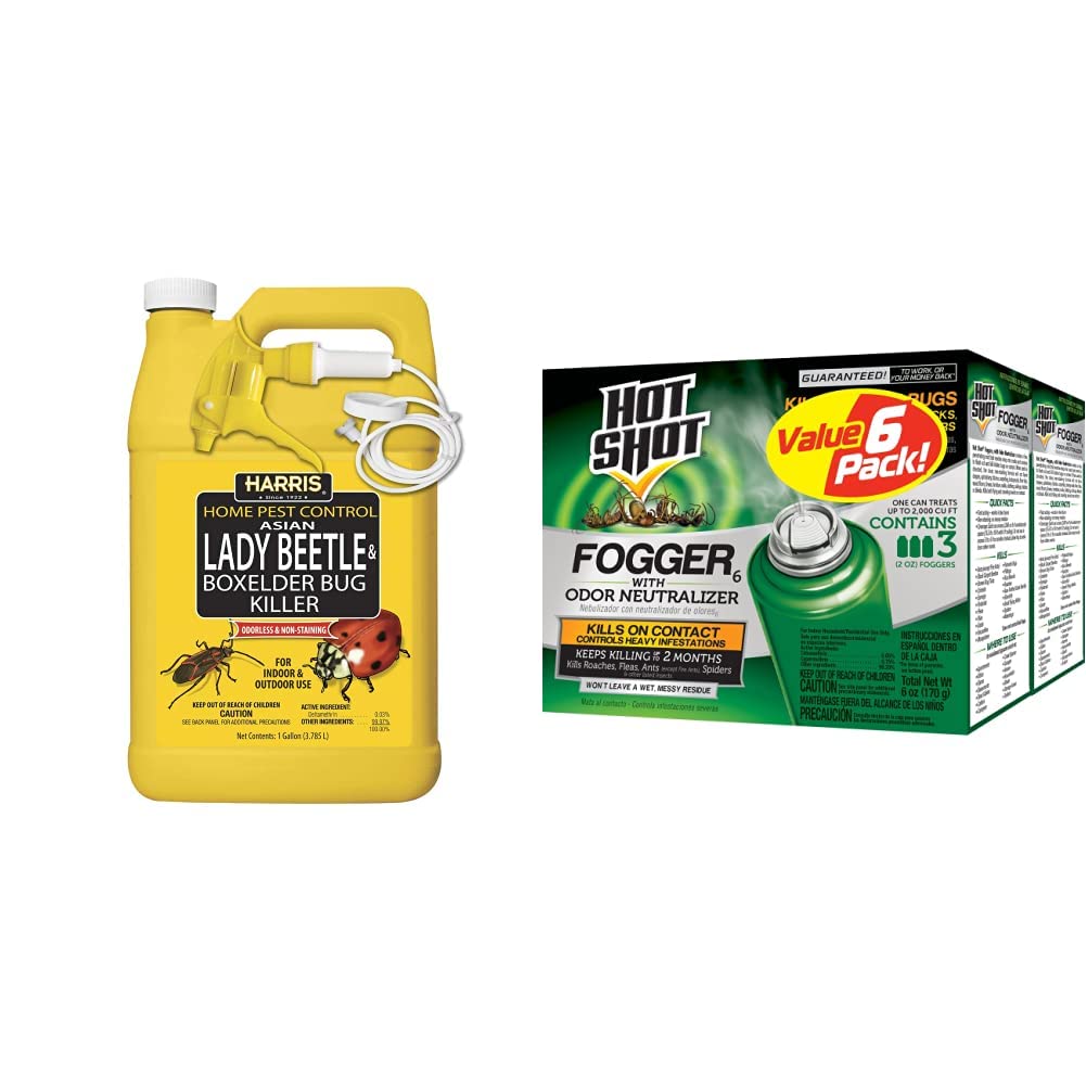 HARRISAsian Lady Beetle, Japanese Beetle, and Box Elder Killer, Liquid Spray, Kills Roaches, Ants, Spiders & Fleas, Controls Heavy Infestations, 3 Count, 2 Ounce Pack of 2