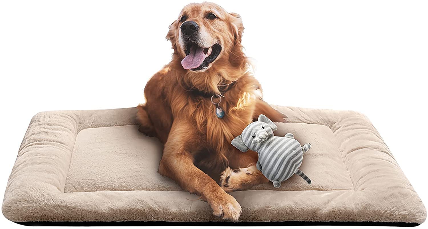 SITSNOOZE Washable Dog Kennel Beds Super Plush Dog Pads for Dog Crates, Machine Wash & Dryer Friendly (Not for Chewer)- Cream (B0BX46FRXQ) Amazon Price History, Amazon Price Tracker