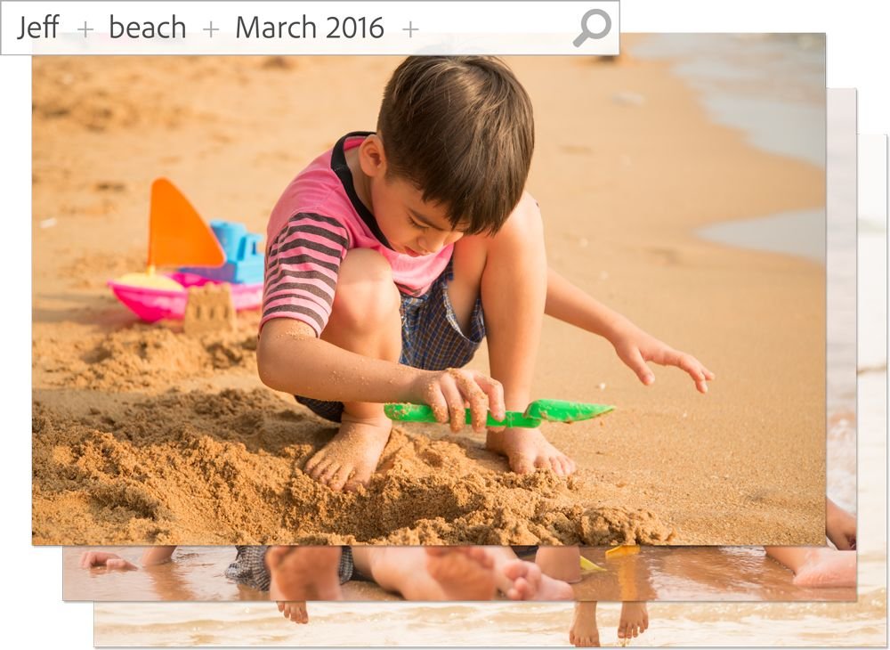Adobe Photoshop Elements 15 Standard | PC/Mac | Disc