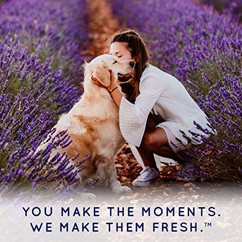 Tropiclean Spa Shampoo Tear Stain Remover For Dogs | Tearless Blueberry Facial For Dogs | Ideal For White Dogs & All Other Coats | Cat Friendly | Made In The Usa | 2.5 Gallons #TOP4