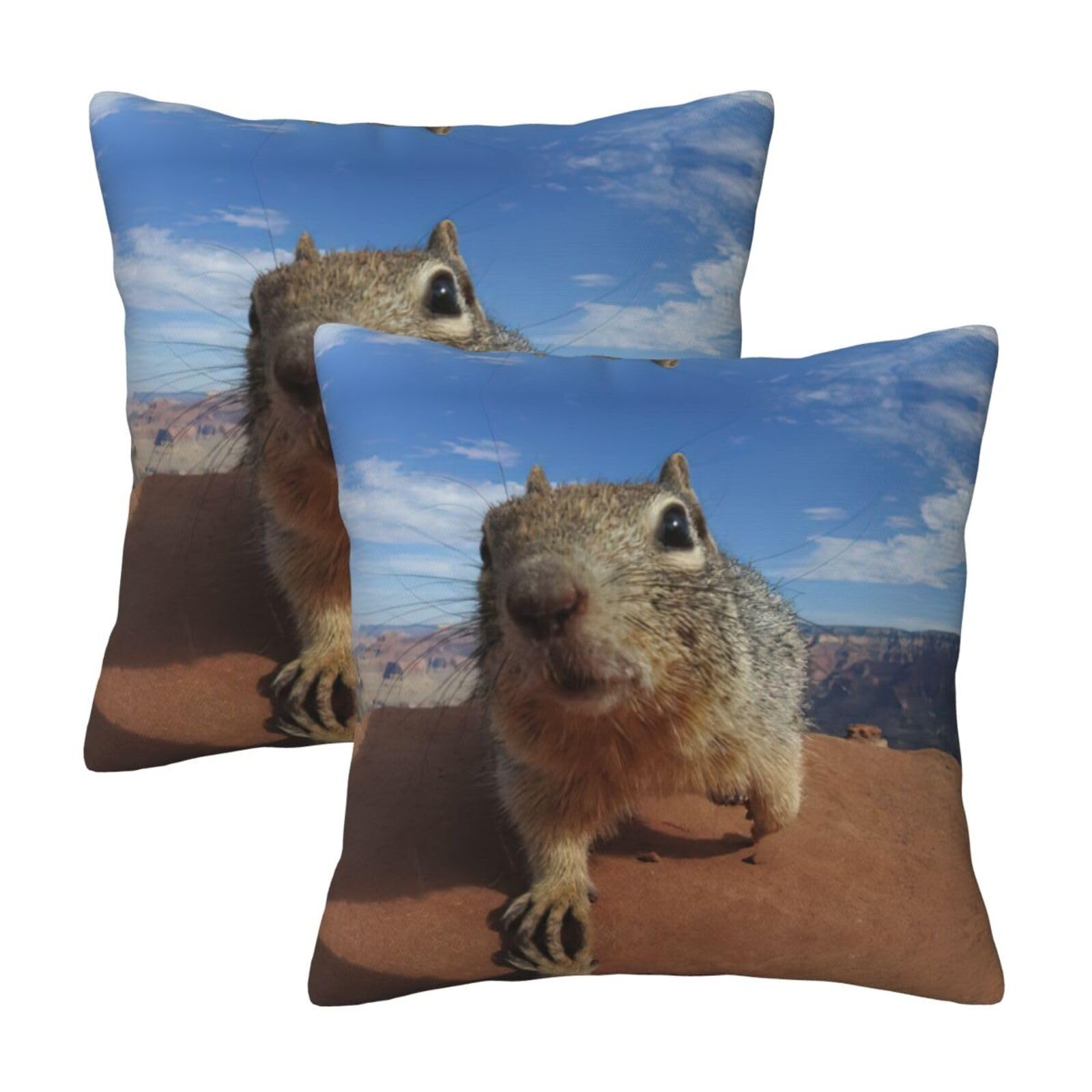 Kfjghhl Mouse Throw Pillow Covers Decorative Farmhouse Couch Pillow Case 4 Sizes Square Cushion Pillcase