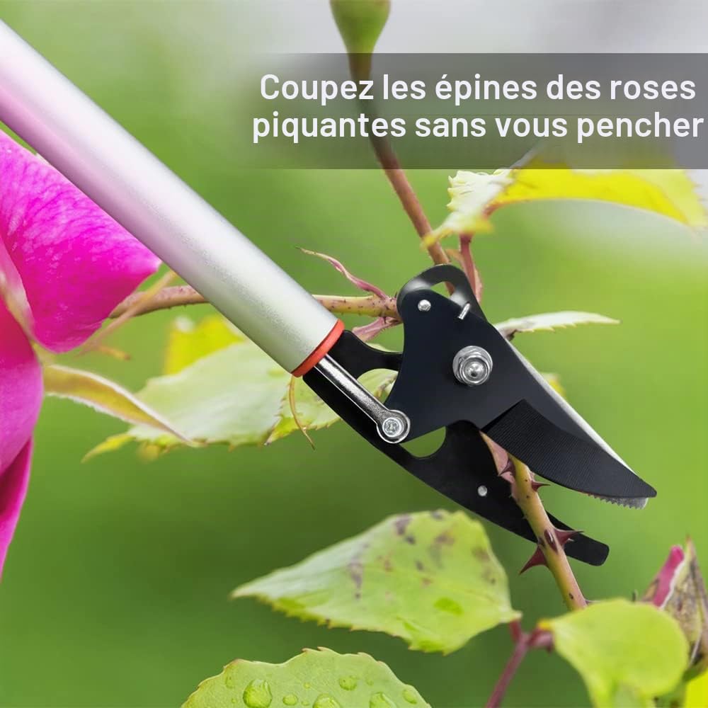 Sécateur de 75 cm pour couper et maintenir les arbres - Longue portée - Avec tête rotative - Pour le jardin, la cueillette des fruits, la coupe des branches