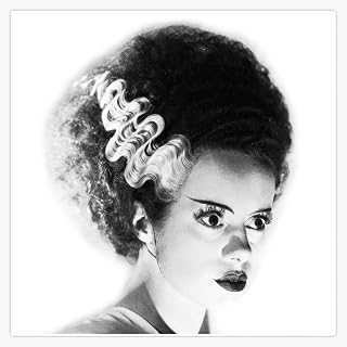 Bride of Frankenstein Sticker Vinyl Waterproof Sticker Decal Car Laptop Wall Window Bumper Sticker 5"