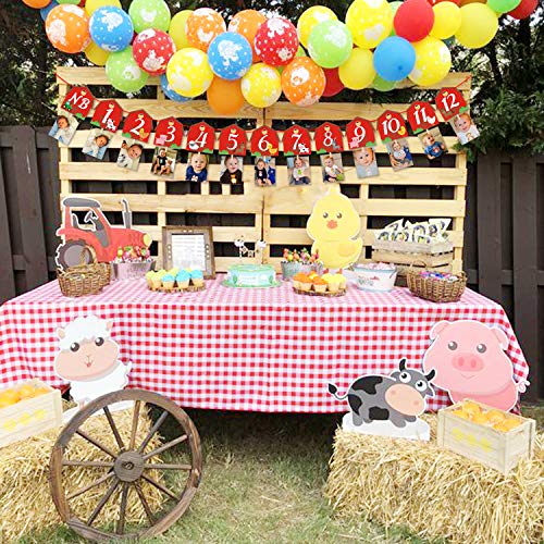 Farm Animal 1st Birthday Photo Banner Newborn to 12 Month Display Milestone Garland Barnyard Theme Party Photograph Decorations
