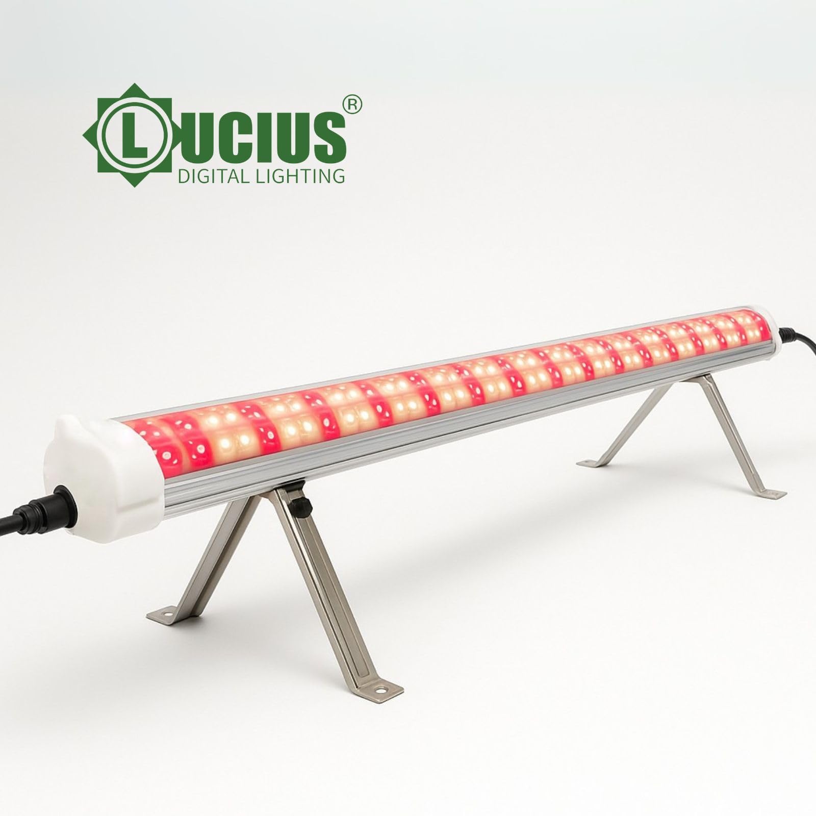 LUCIUS - LED Under Canopy 120 W - Culture intérieure et serre - Éclairage inférieur pour plantes, légumes et fleurs - Haute efficacité, faible consommation - Plus de production et de qualité sur les