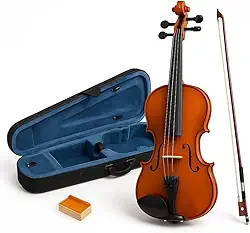 Violino 4/4 Acústico Arco Breu Cavalete Estojo Luxo Madeira