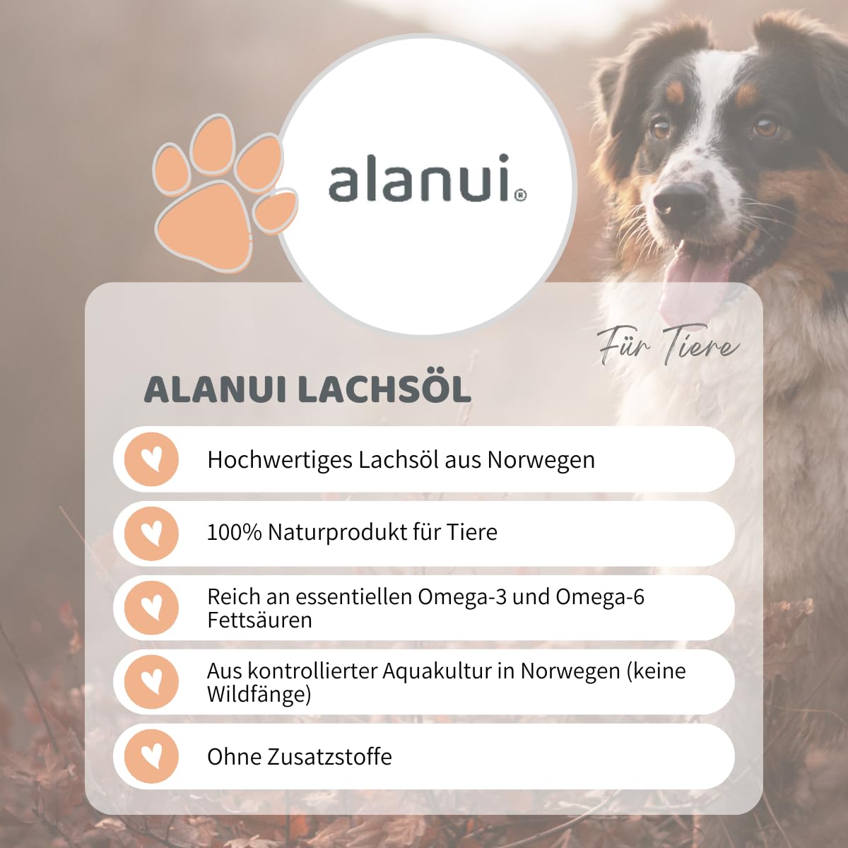 alanui Lachsöl für Hunde, 2 x 500 ml Dosierflasche
