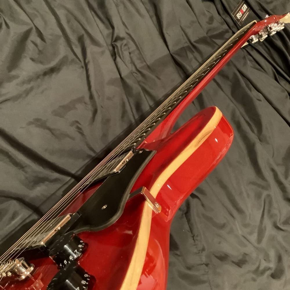 ギター Ryoga CICADA-G2E/HCH RYOGA CICADA-G2E｜セミホロウボディの人気モデルが最新仕様と