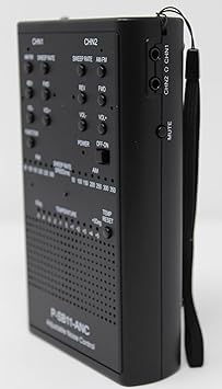 P-SB11-ANC Spirit Box - SB11 مع تهدم في ساحة الحياة في