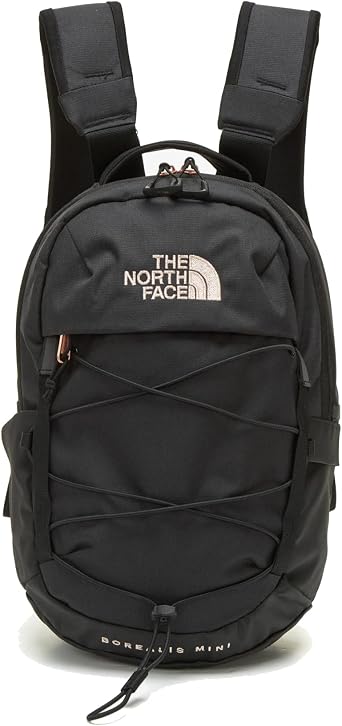 The North Face Borealis Mini Backpack