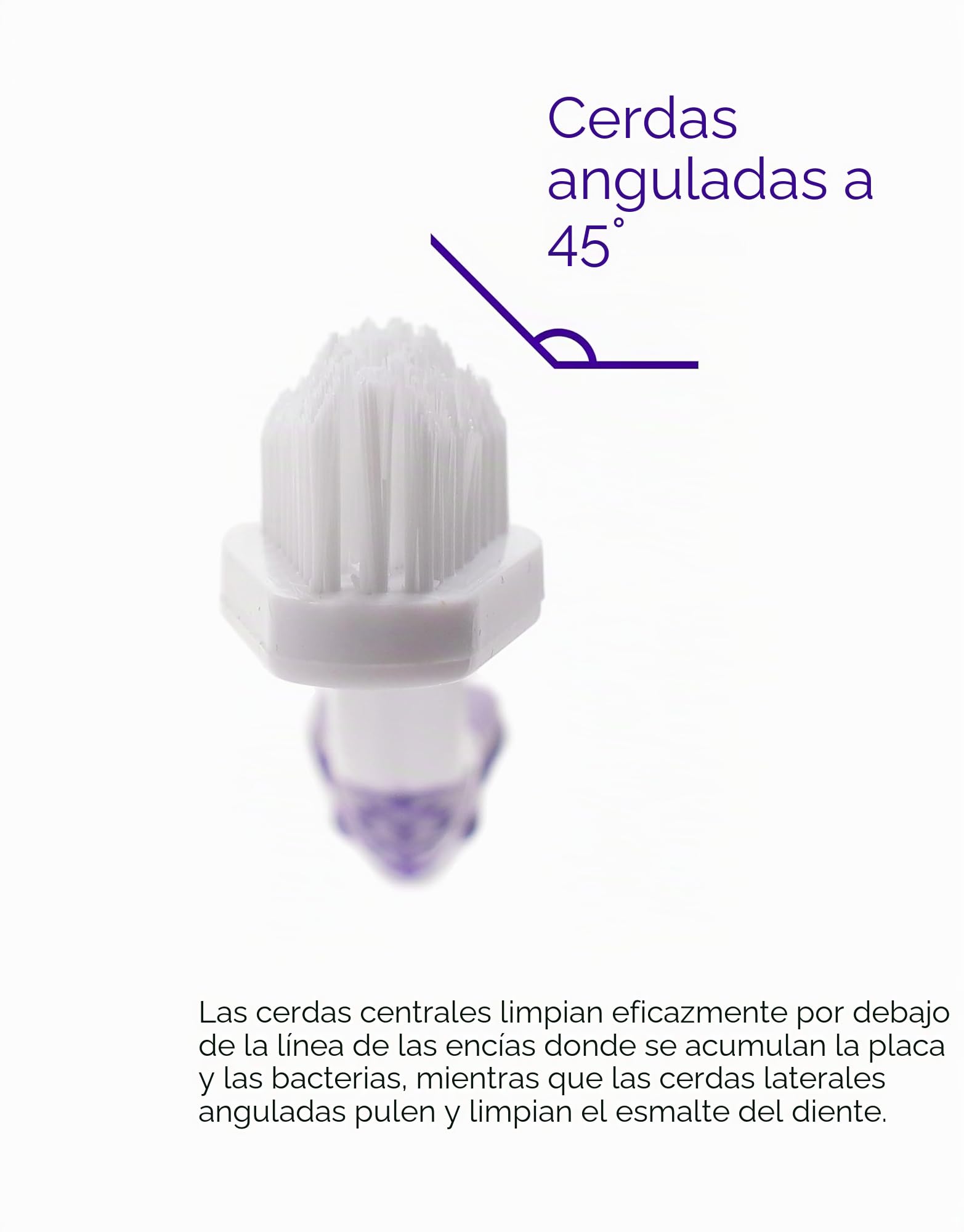 petsmile Cepillo de Dientes Profesional para Mascotas Cabeza de Cepillo de Doble Extremo Patentado 45° – Cepillo de Dientes de Perro