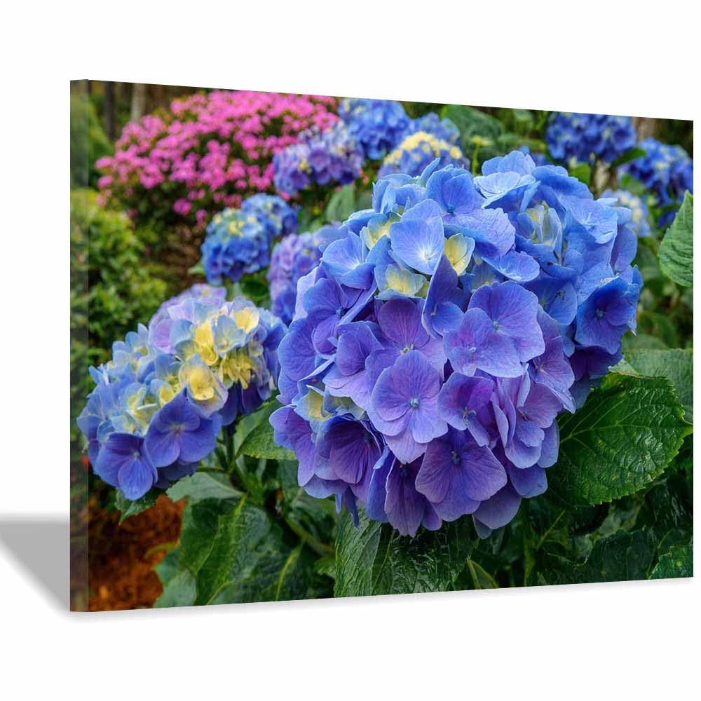 ZAMAEIU Landscape Wall Art Clustered bloomss Artwork for Walls, Canvas Prints Paintings Room Decor, for Bedroom Kitchen Office Fireplace Wall Decor(blue)-20x30cm Framed