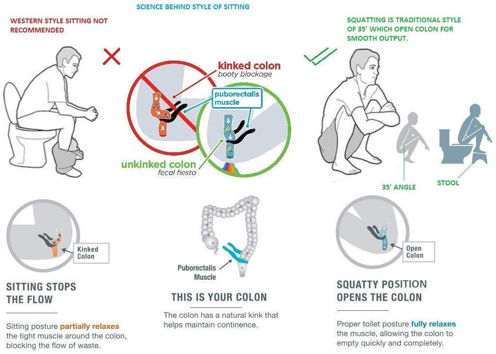 Techhark® Perfect Posture Plastic Squat Potty Step Stool for Western Toilet Scientific Angle, Anti-Slip, Anti-Constipation, 19 cm Height (White) 5 616fFlI5d7L. SL1022