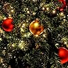 Salcar-2m-x-8-Cadena-de-Luces-para-Arbol-de-Navidad-Impermeable-LED-Luz-Cadena-Ligera-Navidad-280-Leds-Cadena-Luminosa-Cable-de-Verde-para-Exterior-e-Interior-Navidad-Fiestas-Boda-Blanco-calido