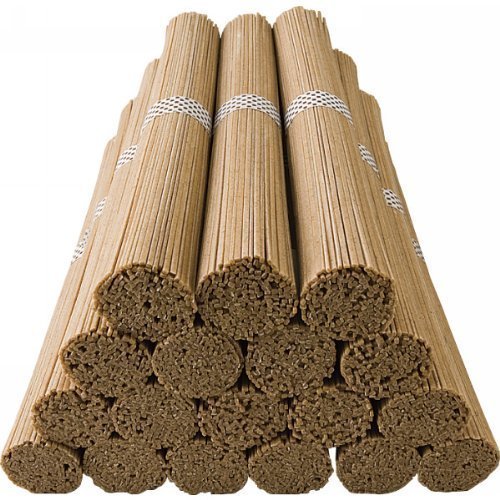 カネス製麺 カネス そば 1800g